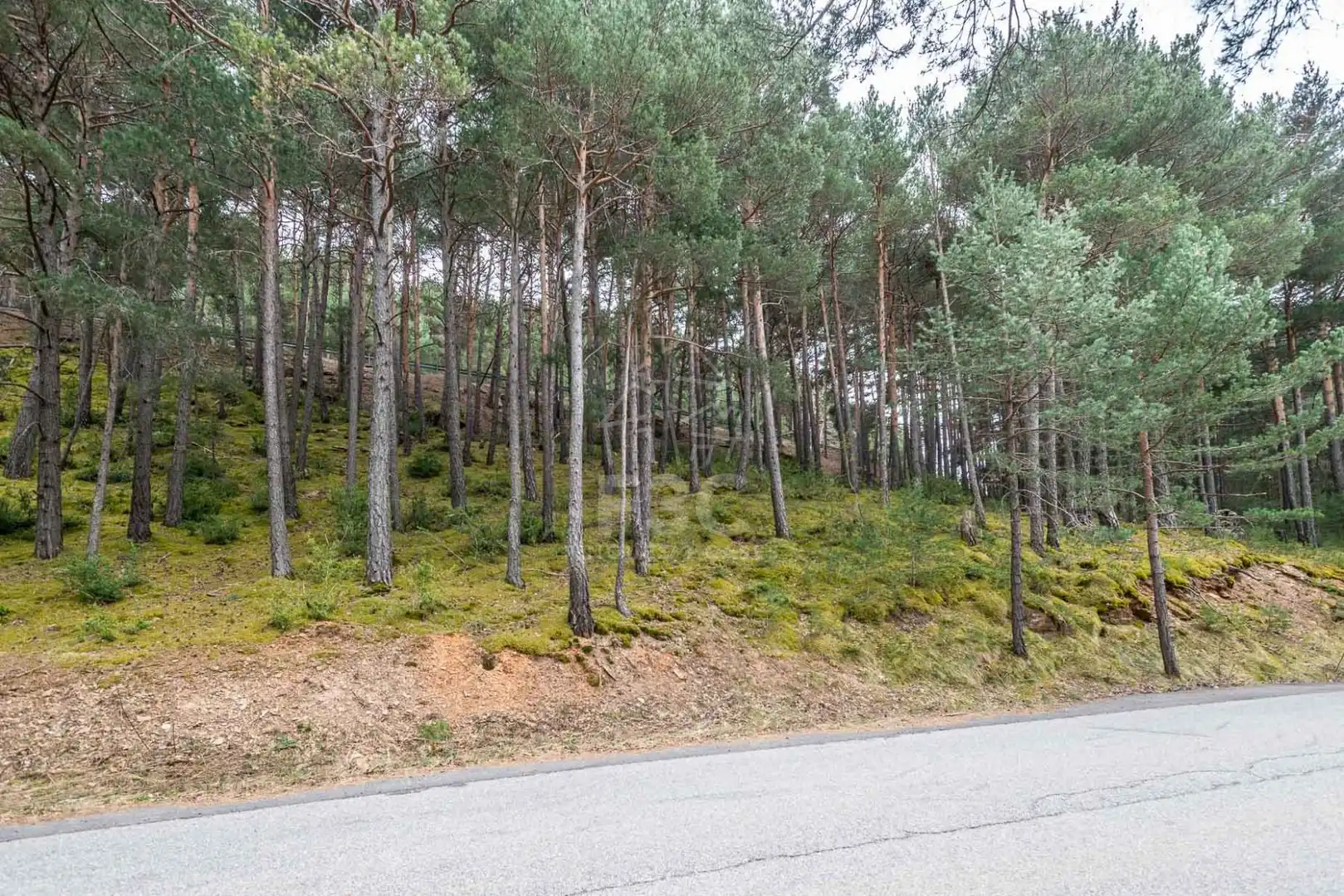 Terreno en venta en Aubinyà - Juberri