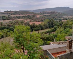 Jardí de Casa o xalet en venda en Artesa de Segre amb Jardí privat, Terrassa i Traster