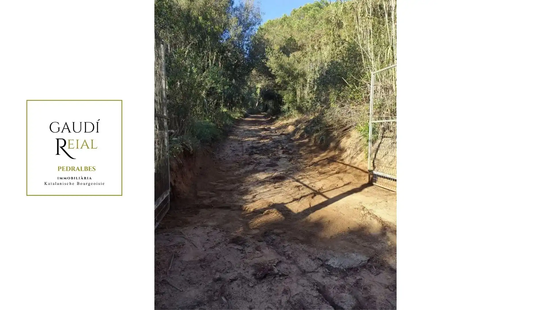 Rural land for sale in Arenys de Munt, imagen 3