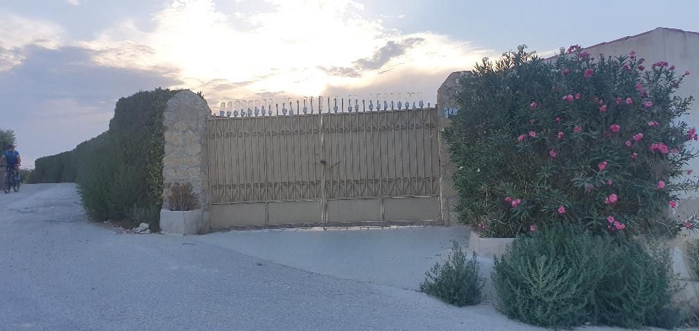 Garden of House or chalet for sale in Cieza
