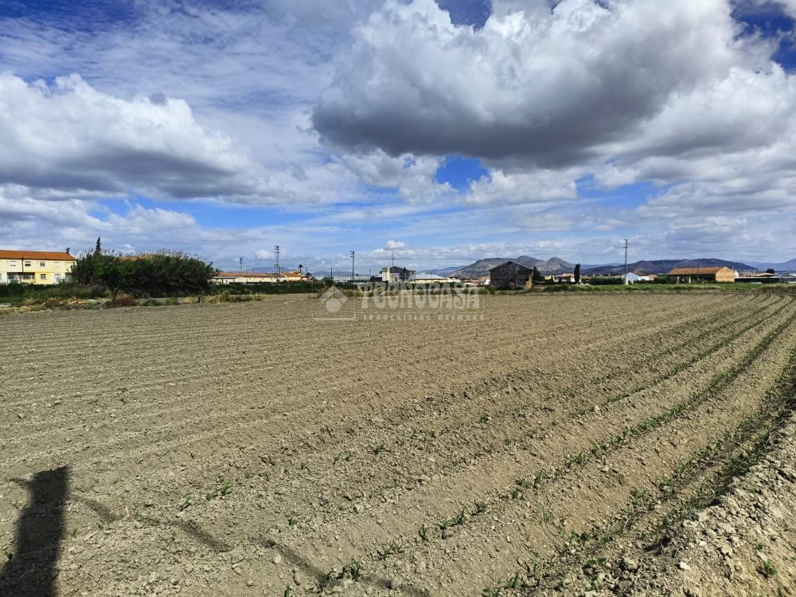 Land for sale in Vegas del Genil