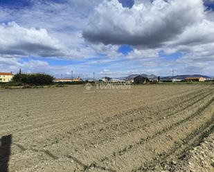 Land for sale in Vegas del Genil