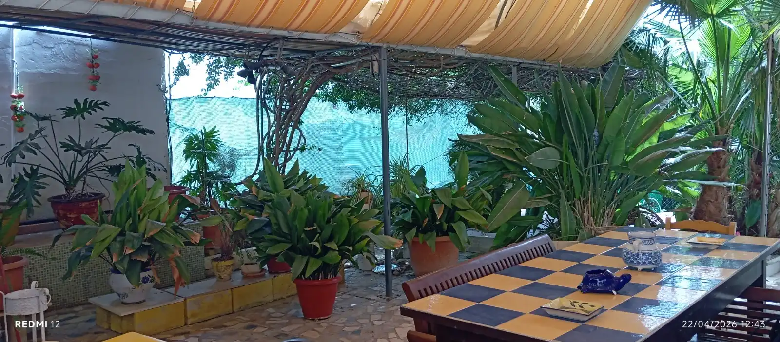 Terraza de Casa o chalet en venta en Murcia con Jardín privado, Terraza y Amueblado