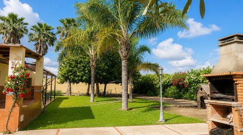 ¡¡¡PRECIOSA FINCA RÚSTICA DE RECREO CON CASA Y ÁRBOLES FRUTALES!!!