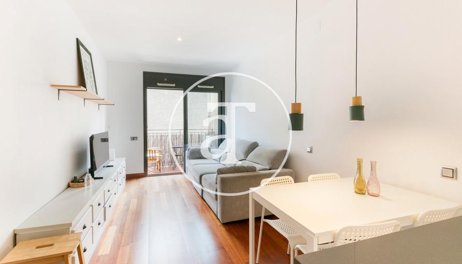 Foto 1 de Pis de lloguer a Carrer de Miquel Bleach, 18, Hostafrancs, Barcelona