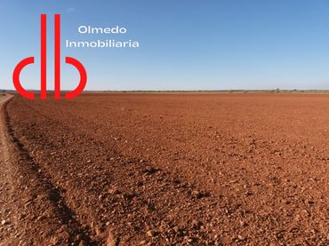 Terreno rustico in vendita a Tomelloso