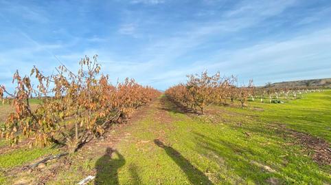 Foto 3 de Terreny en venda a N/a, Alagón del Río, Cáceres