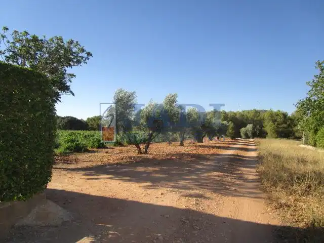 Casa rústica amb piscina en venda a Valdepeñas, imagen 6