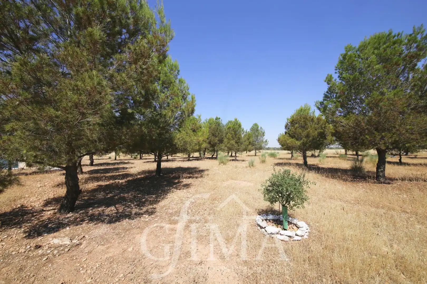 Chalet en venta en Tomelloso, imagen 43