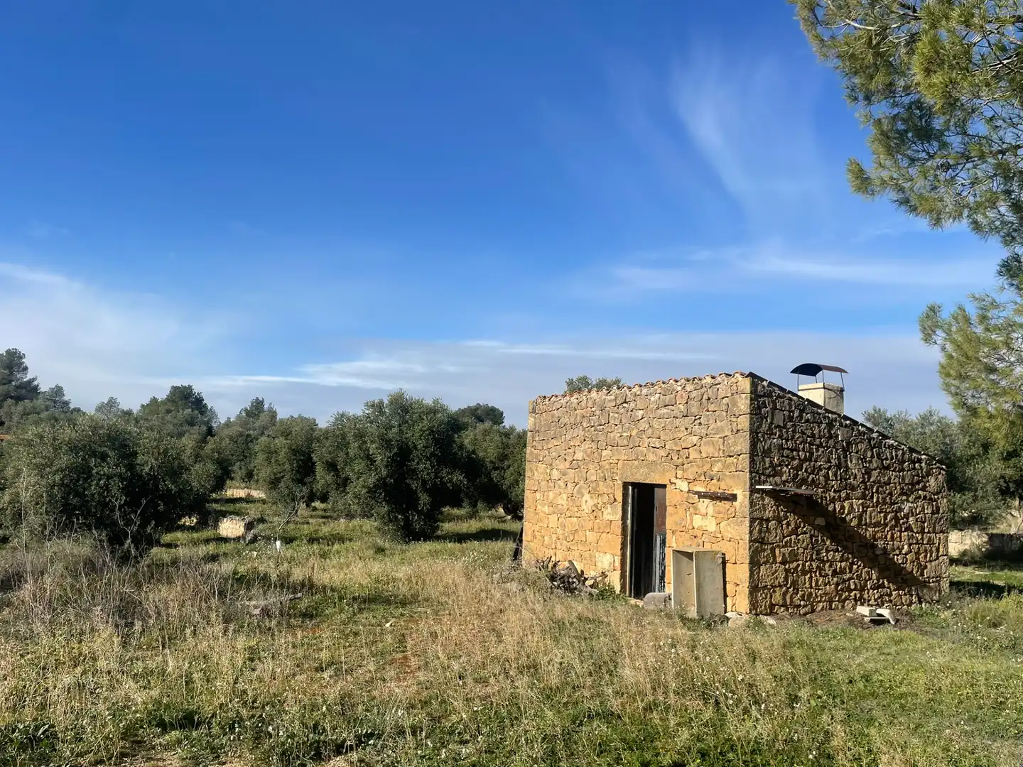 Rural land for sale in Cervià de Les Garrigues