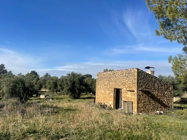 Terreny rústic en venda a Cervià de Les Garrigues