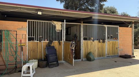 Photo 3 of Country house for sale in San Pedro de Mérida, Badajoz