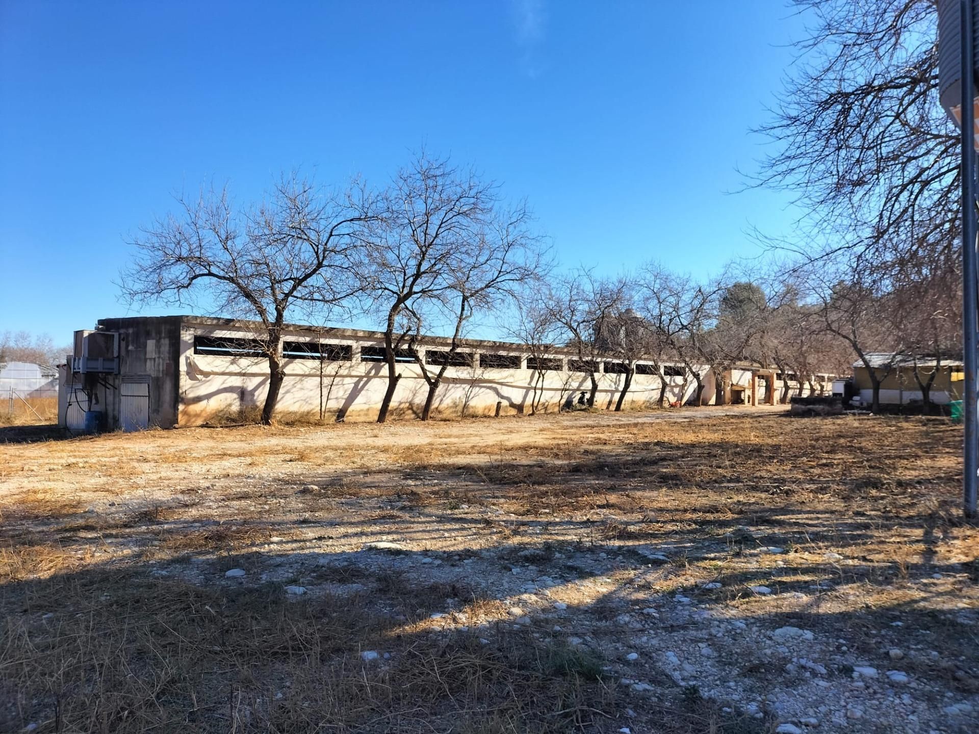 Exterior view of Premises for sale in Navarrés
