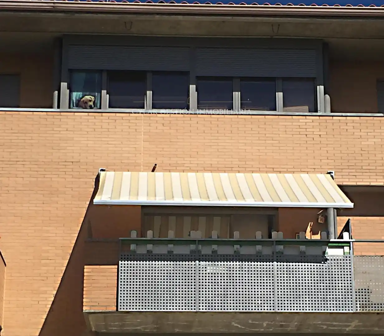 Dúplex con piscina en venta en Figueira da Foz, imagen 68