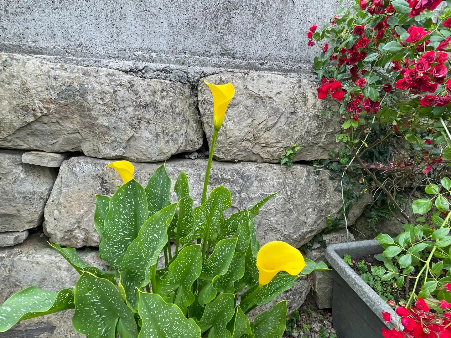 Vista exterior de Casa o xalet en venda en Gijón  amb Calefacció, Jardí privat i Parquet
