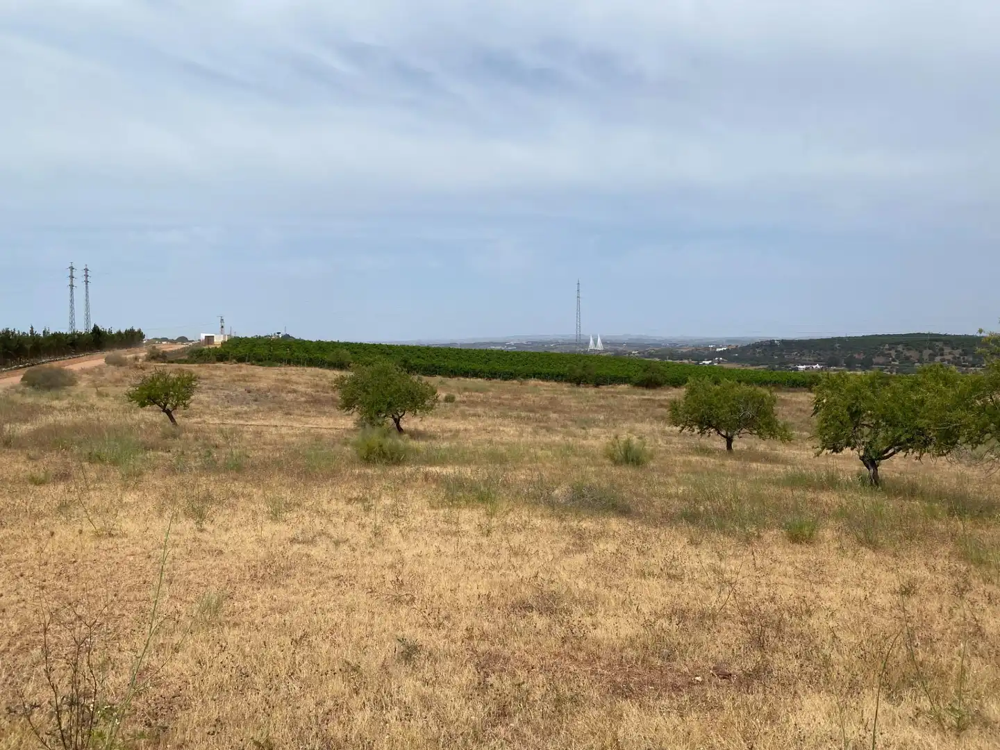 Terreni e lotti in vendita a Vía POLIGONO 15, PARCELA 83, VALDECERRO, imagen 4