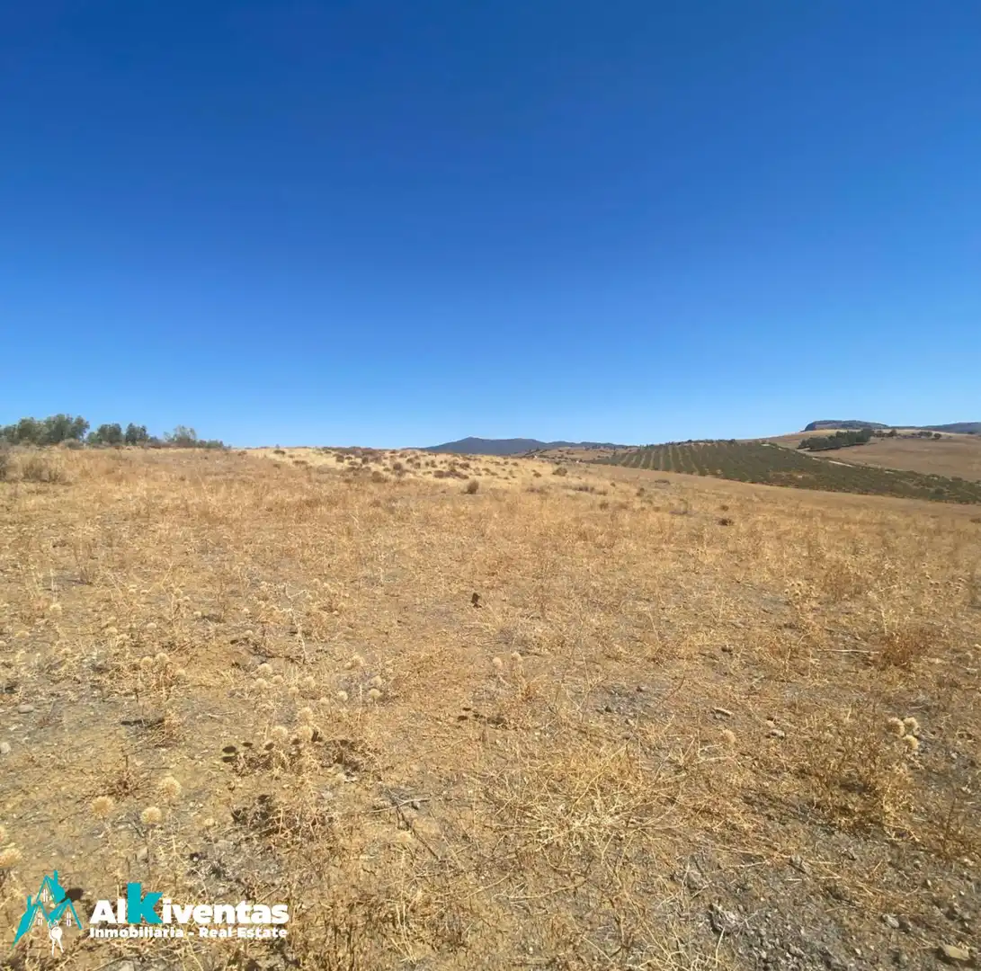 Terrains et parcelles à vendre à Carretera Antequera, imagen 2