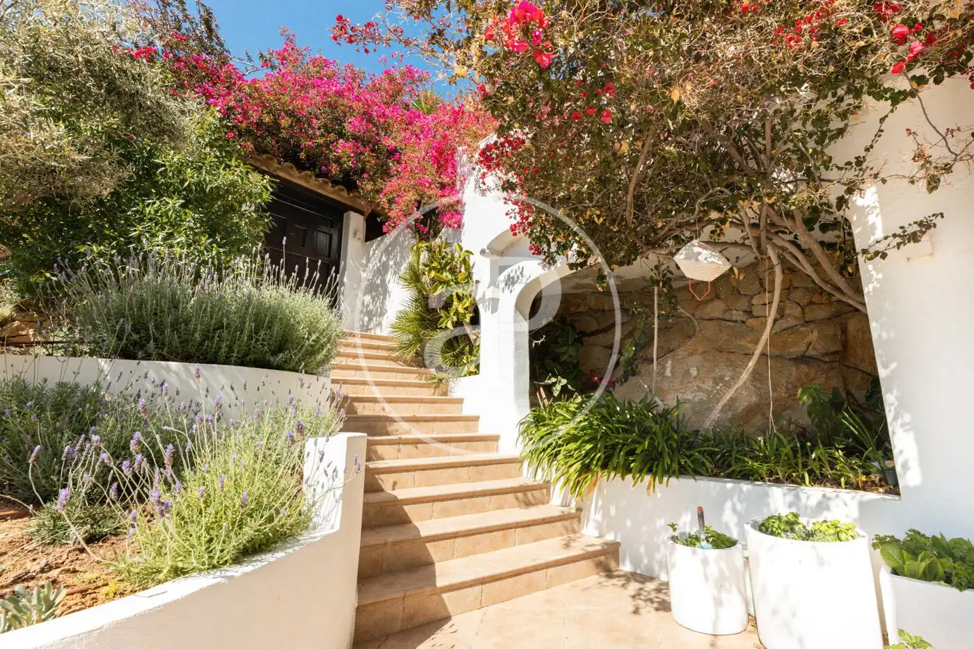 Jardín de Piso de alquiler en Andratx con Jardín privado, Terraza y Amueblado