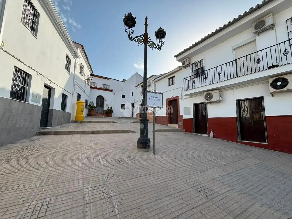 Exterior view of Detached homes for sale in Osuna