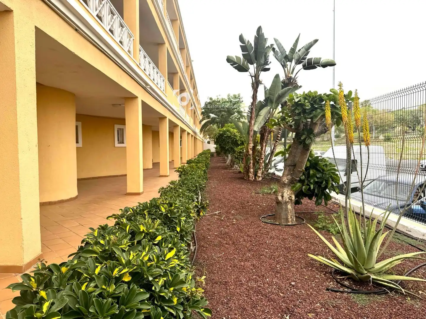 Außenansicht von Wohnung zum Verkauf in Adeje mit Terrasse, Abstellraum und Schwimmbad