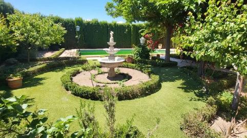 Photo 4 of House or chalet for sale in Alto de los Molinos,  Albacete Capital