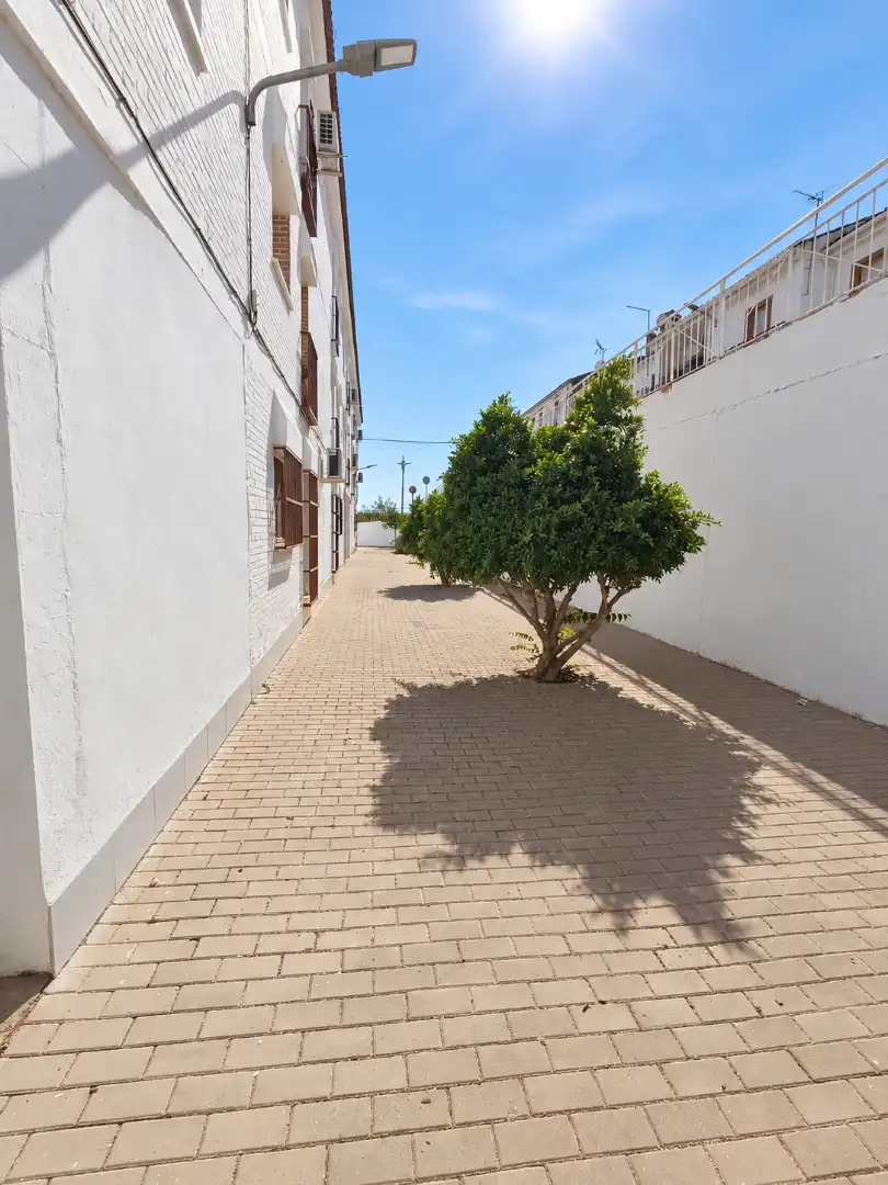 Appartamento in vendita a Grupo Bloque Málaga 3, imagen 63