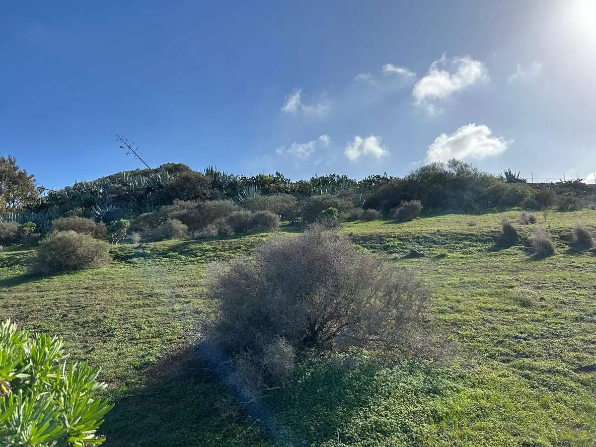 Rural land for sale in Caserones - La Higuera, imagen 9