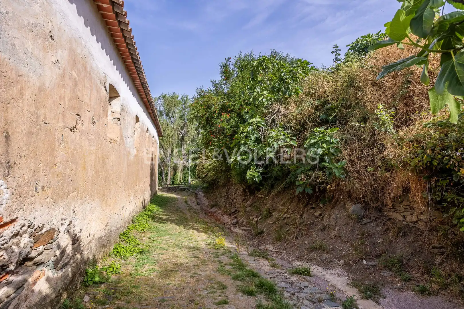 Finca rústica en venta en Almonaster la Real con Calefacción