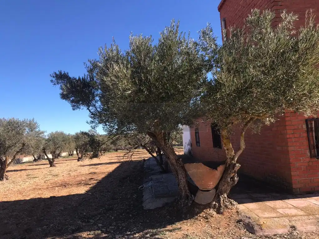 Finca rústica en venta en TO-2899, -1, Quintanar de la Orden
