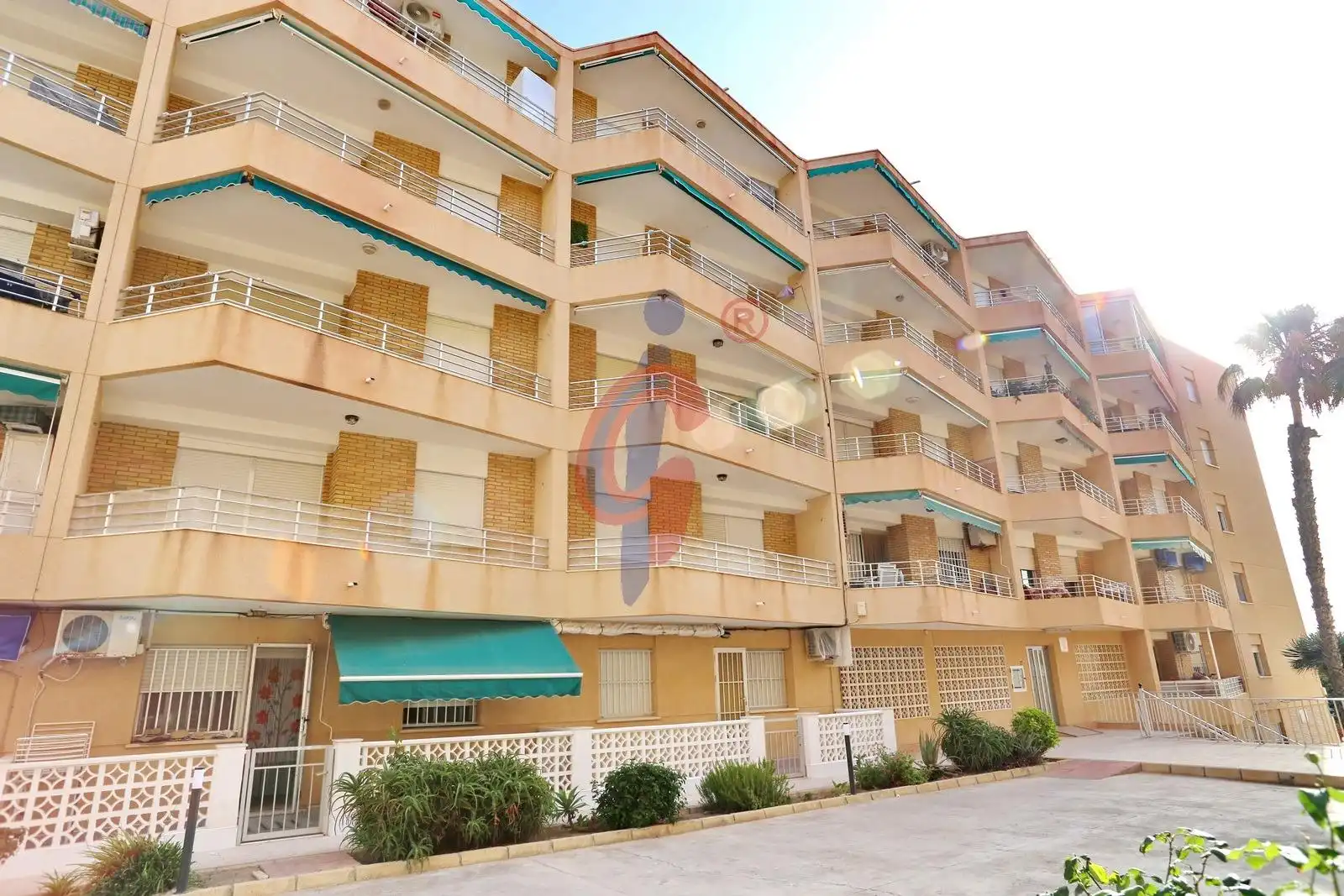 Exterior view of Apartments for sale in Guardamar del Segura  with Terrace