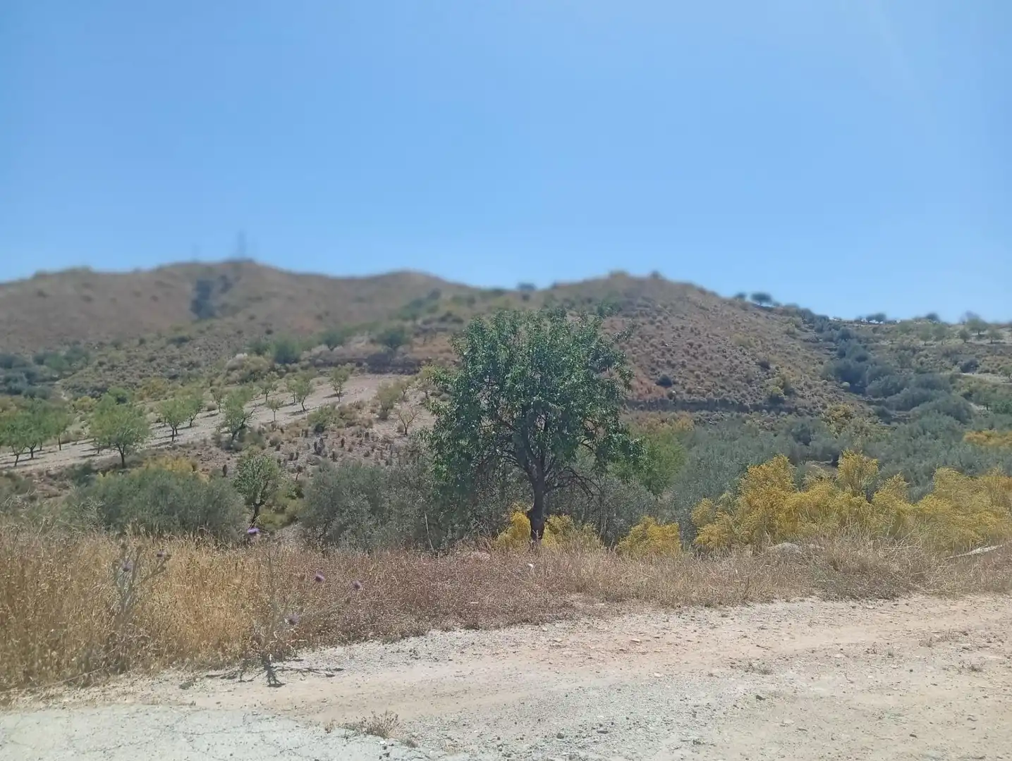 Rural land for sale in Lubrín, imagen 5