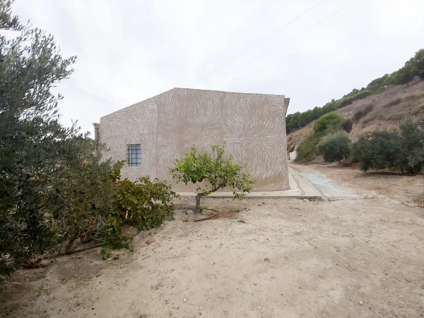 Vista exterior de Casa o xalet en venda en Aspe amb Calefacció i Jardí privat