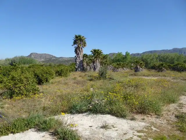 Villa con terrazza in vendita a Xerta, imagen 40