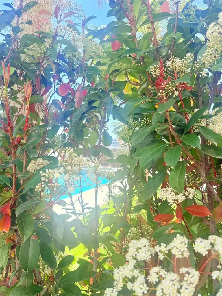 Piscina de Planta baja en venta en Finestrat con Aire acondicionado, Terraza y Trastero