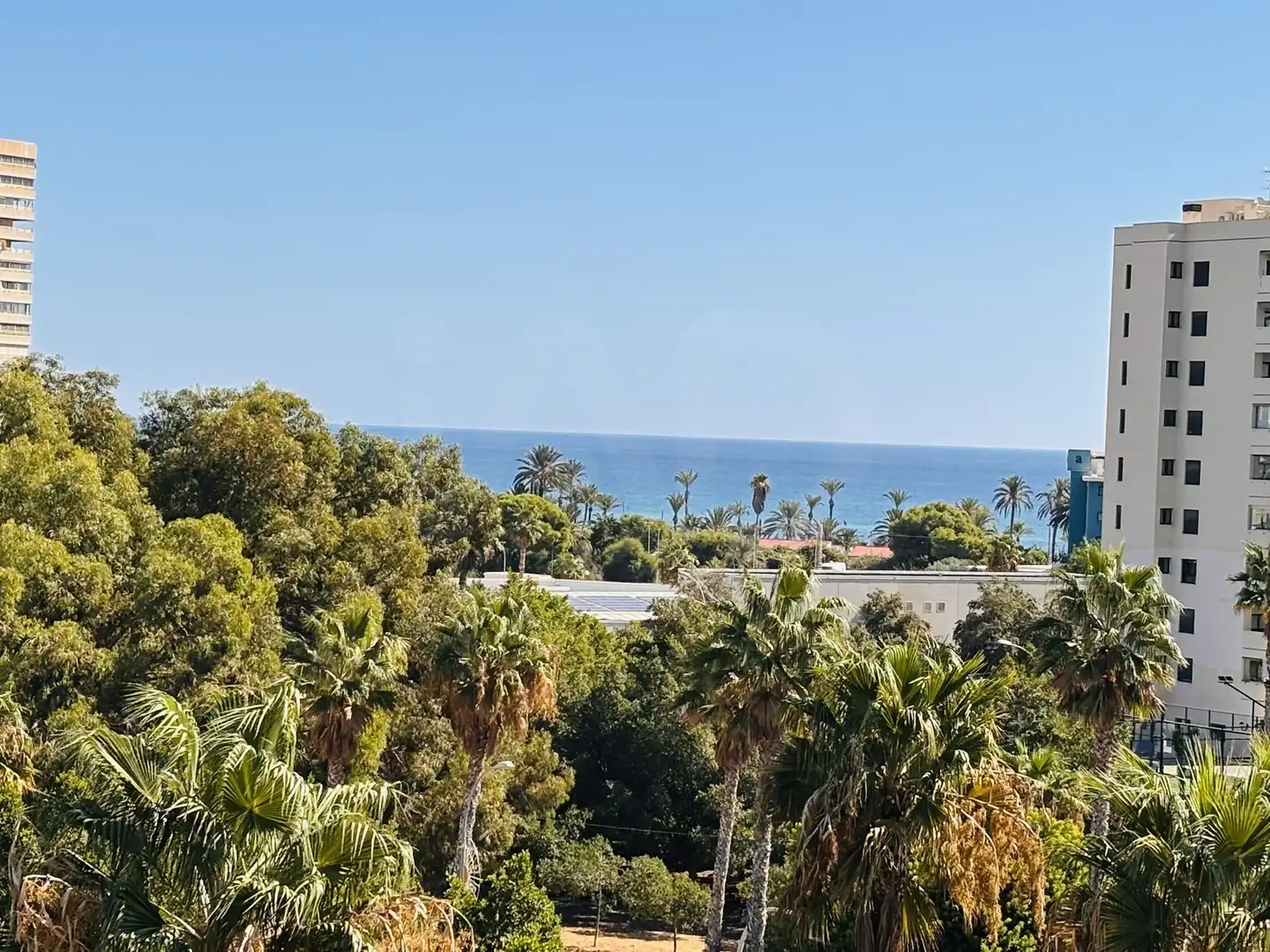 Flat for rent in Alicante / Alacant, Alicante