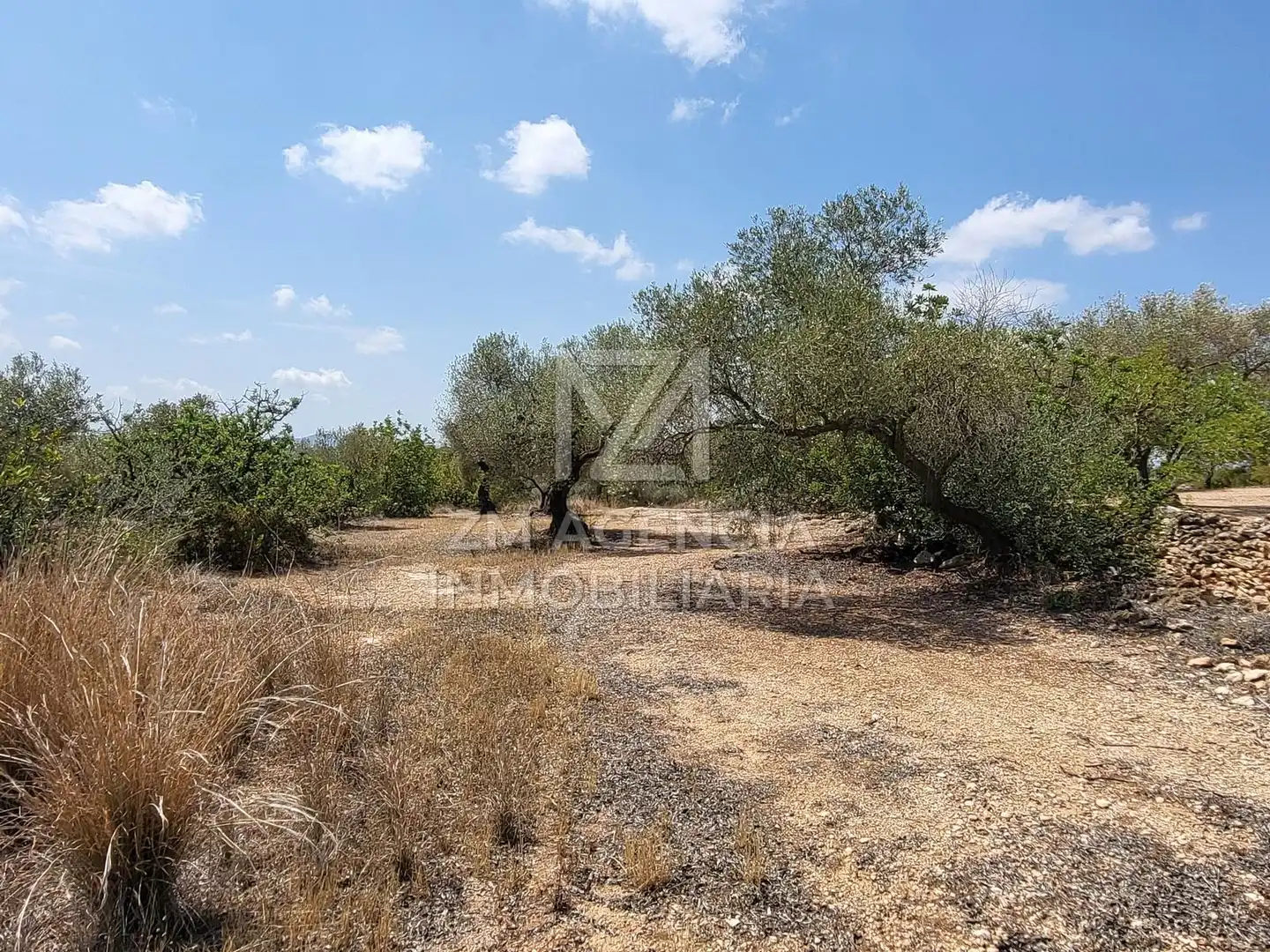 Terreno rustico in vendita a Traiguera, imagen 7