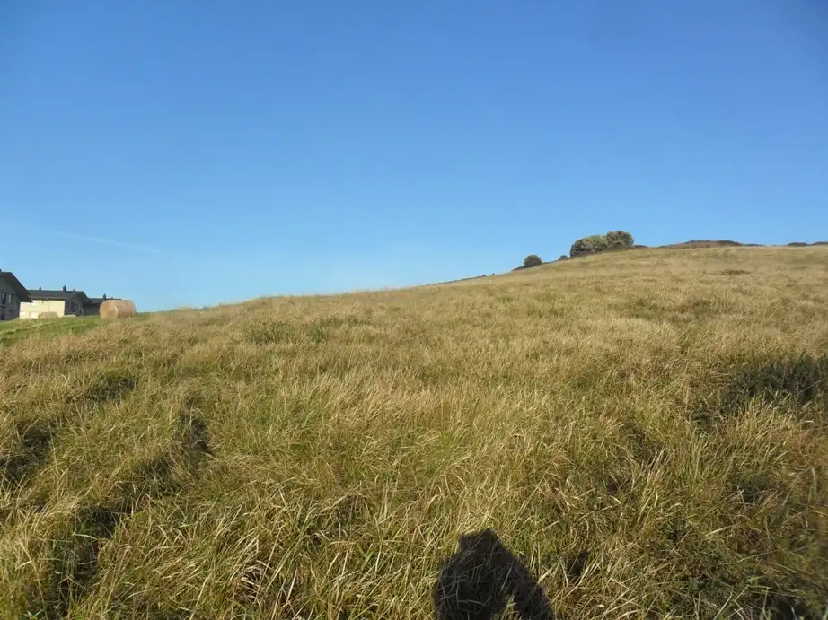 Terreno en venta en Sopela