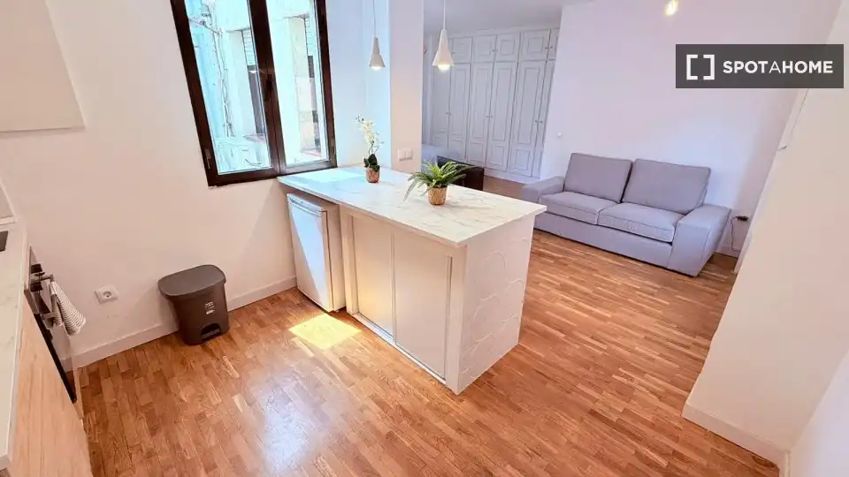Kitchen of Study for share in Madrid  with Air Conditioner, Heating and Terrace