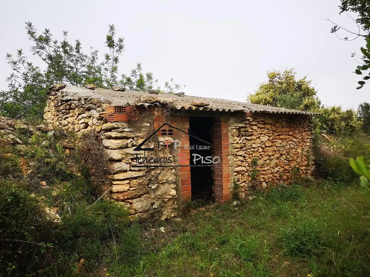 Rural land for sale in POLIGONO 9 PARCELLA 64