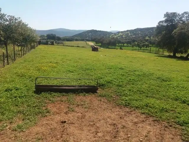 Maison à vendre à Fuente Obejuna, imagen 9