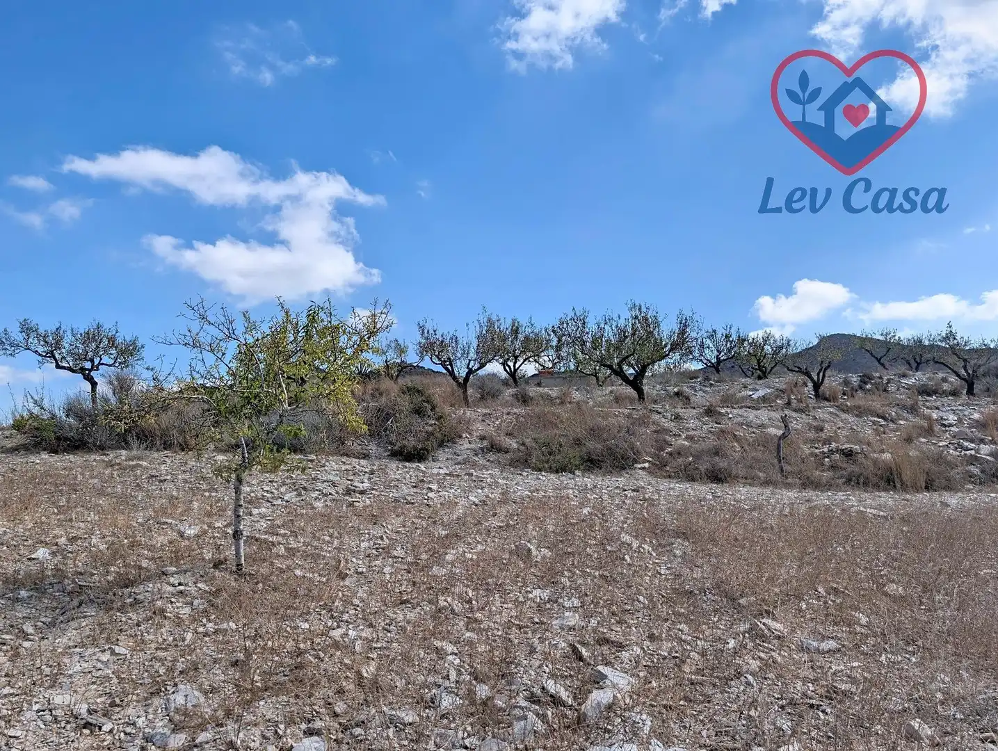 Terreno rustico in vendita a Playa del Galán, imagen 34