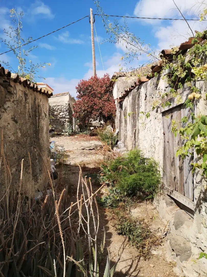 Vista exterior de Casa o chalet en venta en Icod de los Vinos