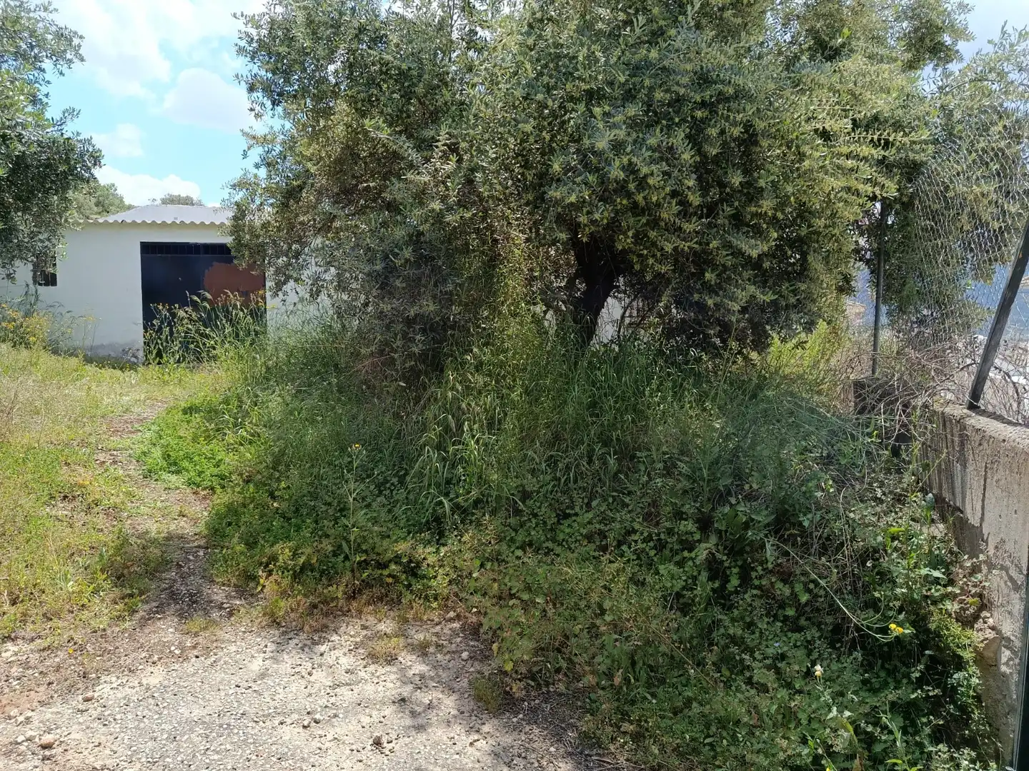 Haus oder Chalet zum Verkauf in Calle el Río, Priego de Córdoba