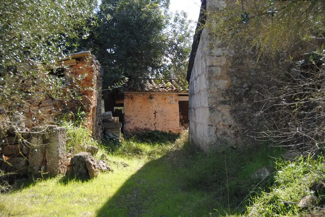 Terreno rustico in vendita a Diseminado Diseminados Var 248, imagen 5