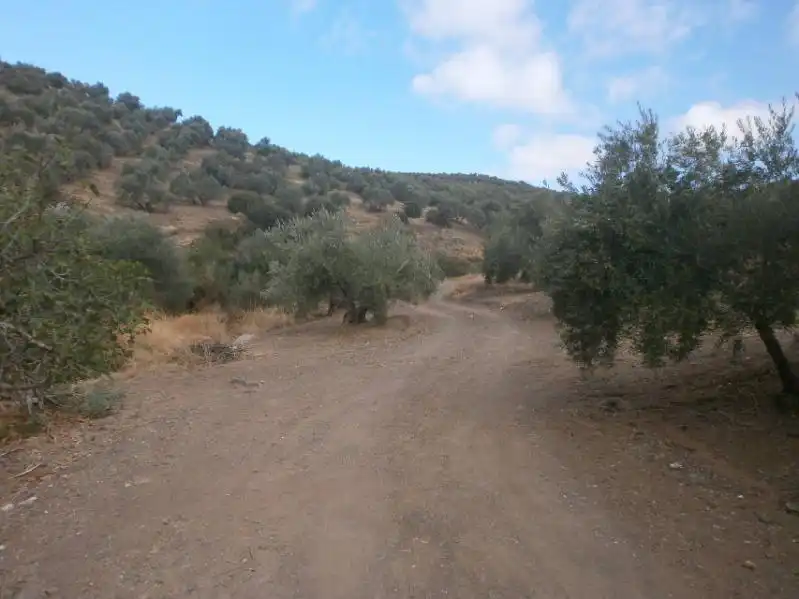 Terreni e lotti in vendita a Navas de San Juan, imagen 4