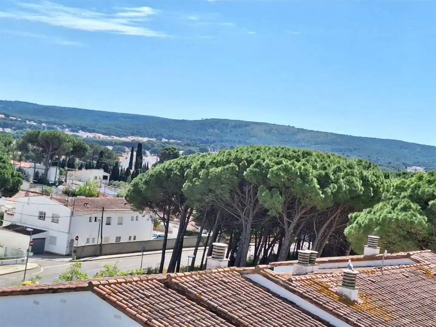 Vista exterior de Estudio en venta en Riells