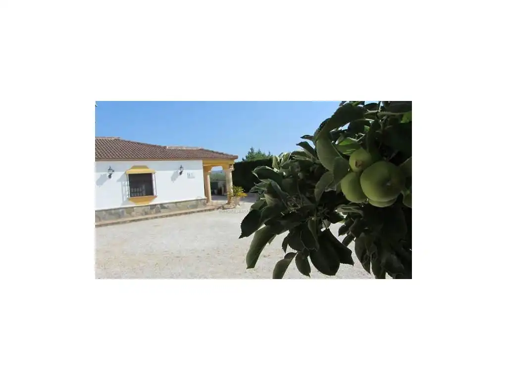 Casa en venda a Centro, imagen 9