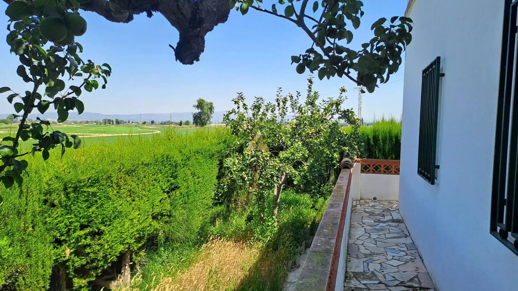 Detached house for sale in Eucaliptus- Poble Nou del Delta, imagen 6