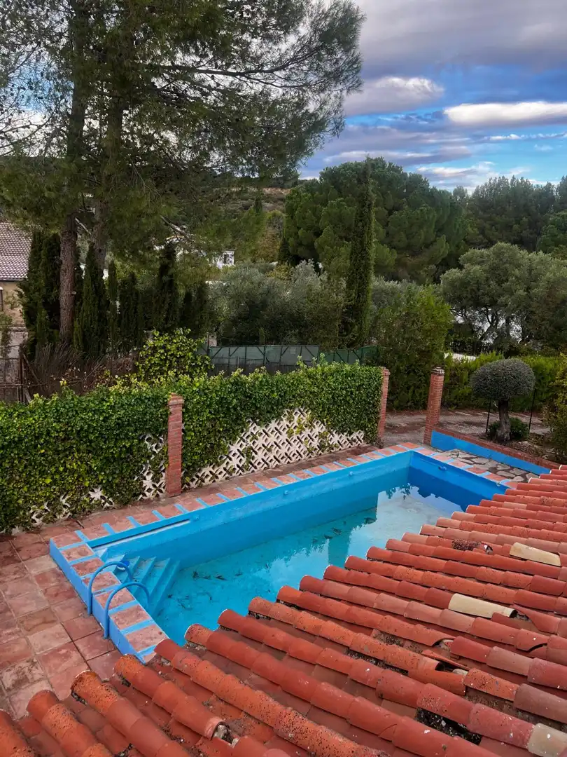 Swimming pool of Apartments for rent in San Francisco