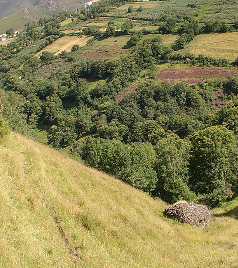 Foto 2 de Casa o xalet en venda a 124. Parcela, Cervantes, Lugo